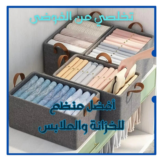 المنظم العصري