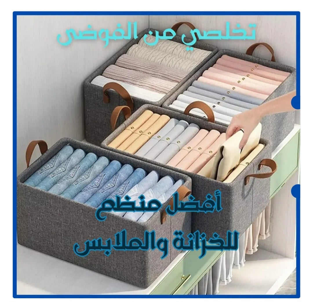 المنظم العصري